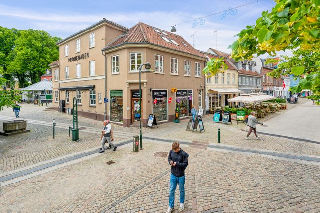 Algade 50, 2. tv., 4000 Roskilde